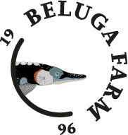 Beluga Farm